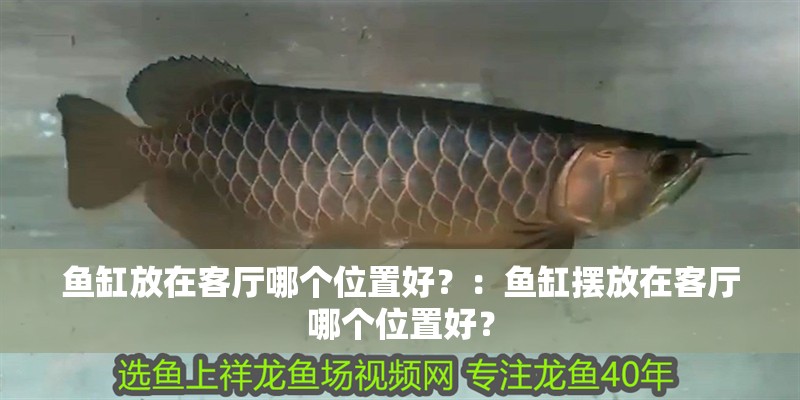 魚缸放在客廳哪個位置好？：魚缸擺放在客廳哪個位置好？