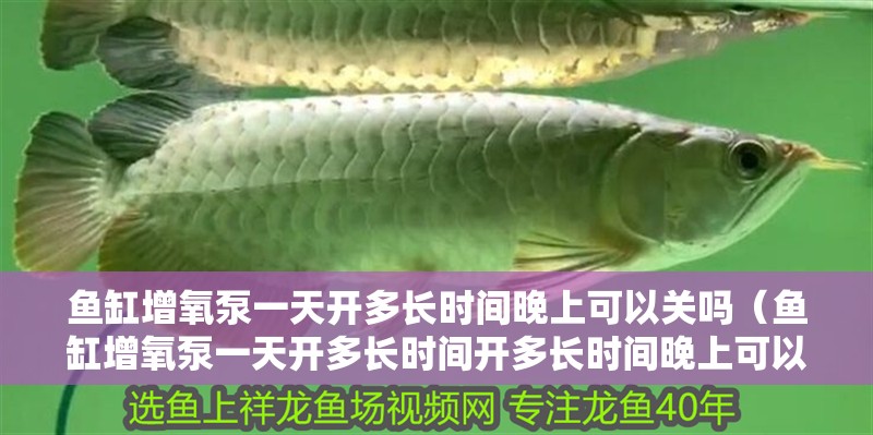 魚缸增氧泵一天開多長時間晚上可以關嗎（魚缸增氧泵一天開多長時間開多長時間晚上可以關嗎）