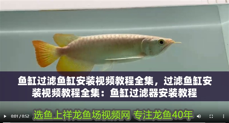 魚缸過濾魚缸安裝視頻教程全集，過濾魚缸安裝視頻教程全集：魚缸過濾器安裝教程 魚缸過濾魚缸安裝視頻教程全集，過濾魚缸安裝視頻教程全集：魚缸過濾器安裝教程 魚缸百科