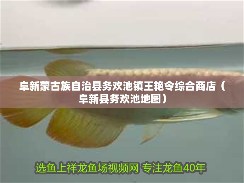 <strong><mark>阜新蒙古族</mark></strong>自治縣務(wù)歡池鎮(zhèn)王艷令綜合商店（阜新縣務(wù)歡池地圖）