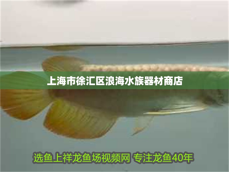 上海市徐匯區浪海水族器材商店