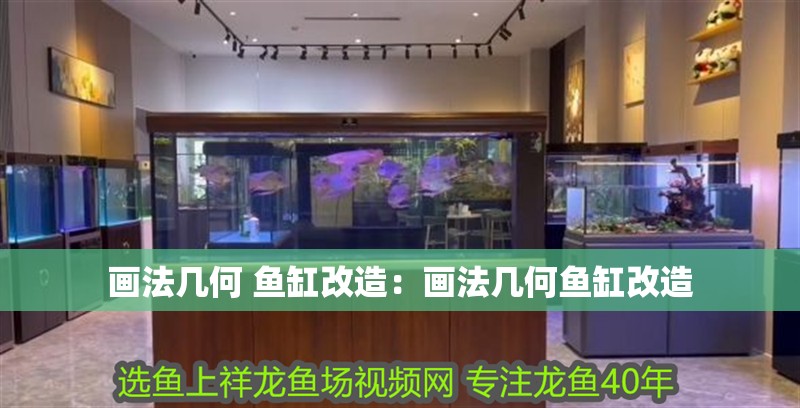 畫法幾何 魚缸改造：畫法幾何魚缸改造