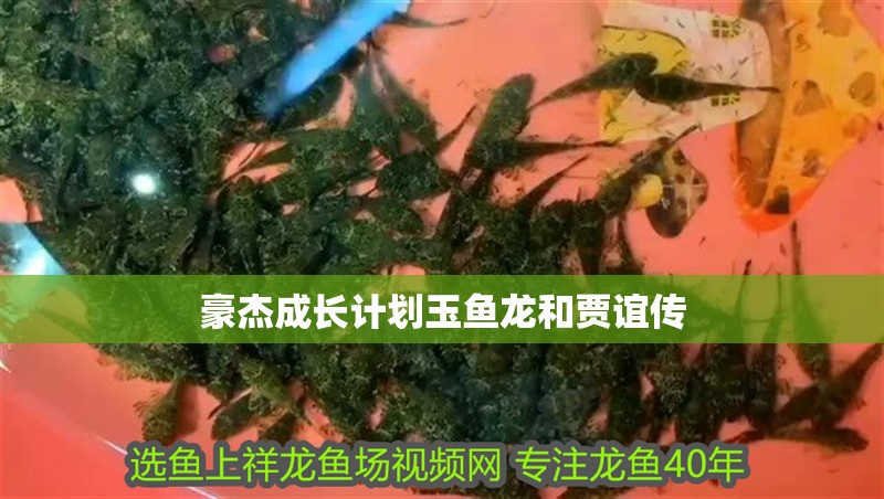 豪杰成長計劃玉魚龍和賈誼傳