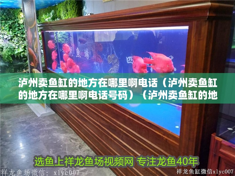 瀘州賣魚缸的地方在哪里啊電話（瀘州賣魚缸的地方在哪里啊電話號碼）（瀘州賣魚缸的地方）