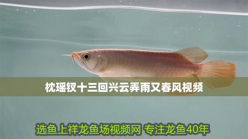 枕瑤釵十三回興云弄雨又春風視頻