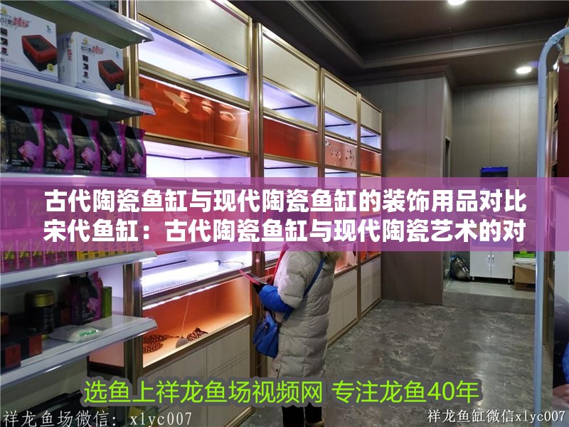 龍魚干蝦有營養嗎 古代陶瓷魚缸與現代陶瓷魚缸的裝飾用品對比宋代魚缸:古代陶瓷魚缸與現代陶瓷藝術的對比 魚缸百科 古代陶瓷魚缸與現代陶瓷魚缸的裝飾用品對比宋代魚缸:古代陶瓷魚缸與現代陶瓷藝術的對比 古代陶瓷魚缸與現代陶瓷魚缸的裝飾用品對比宋代魚缸:古代陶瓷魚缸與現代陶瓷藝術的對比 魚缸百科