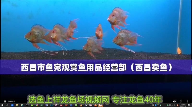 西昌市魚宛觀賞魚用品經營部（西昌賣魚）