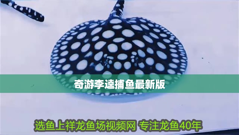 奇游李逵捕魚最新版