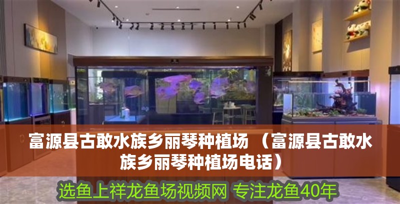富源縣古敢水族鄉(xiāng)麗琴種植場(chǎng) （富源縣古敢水族鄉(xiāng)麗琴種植場(chǎng)電話(huà)）