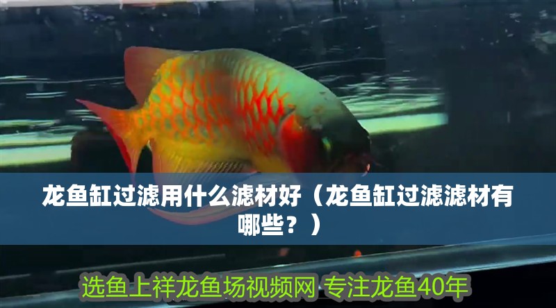 龍魚缸過濾用什么濾材好（龍魚缸過濾濾材有哪些？）
