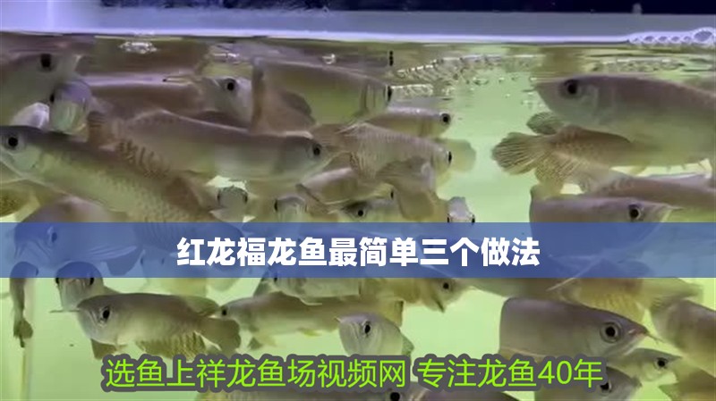 紅龍福龍魚最簡單三個做法