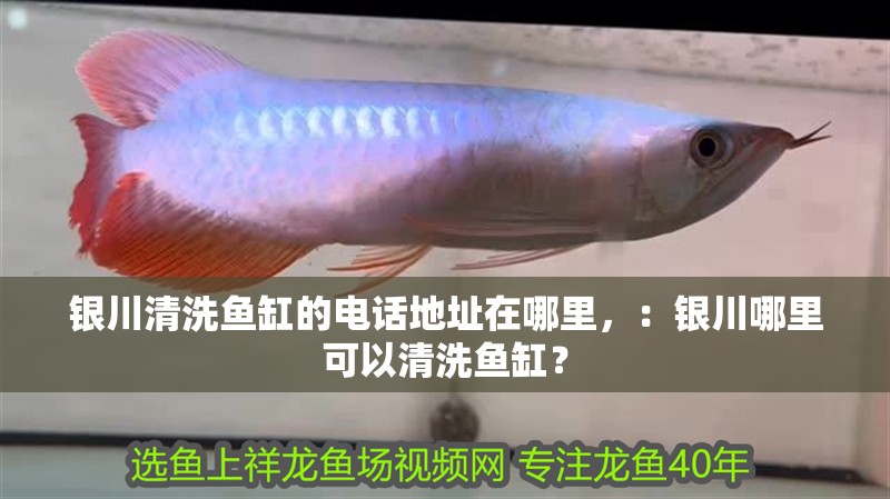 銀川清洗魚缸的電話地址在哪里，：銀川哪里可以清洗魚缸？