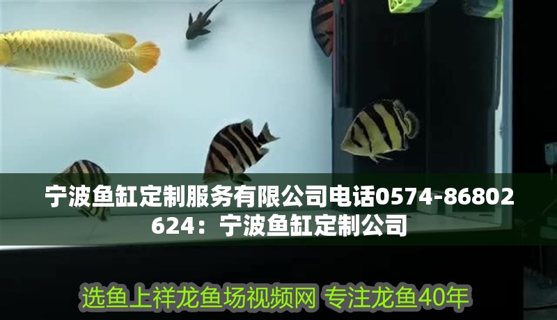 寧波魚缸定制服務有限公司電話0574-86802624：寧波魚缸定制公司 寧波魚缸定制服務有限公司電話0574-86802624：寧波魚缸定制公司 魚缸百科