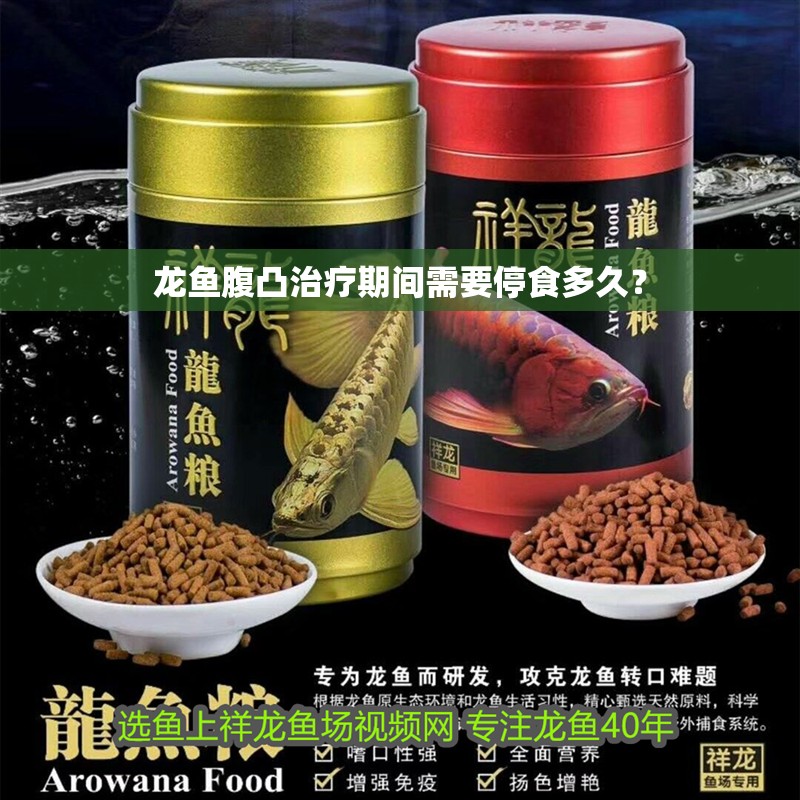 龍魚腹凸治療期間需要停食多久？