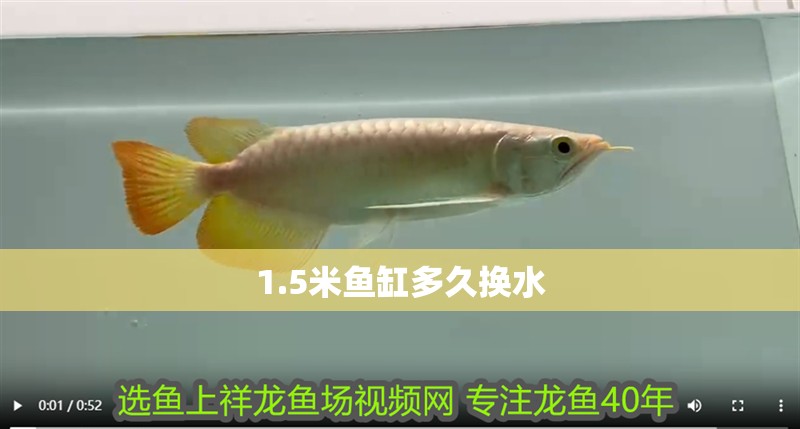 1.5米魚缸多久換水