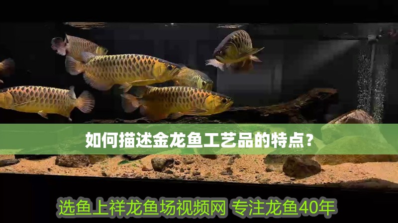 如何描述金龍魚工藝品的特點(diǎn)？ 如何描述金龍魚工藝品的特點(diǎn)？ 龍魚論壇