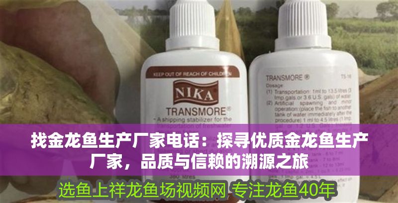 找金龍魚生產廠家電話：探尋優質金龍魚生產廠家，品質與信賴的溯源之旅