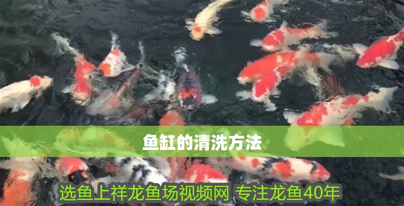 魚缸的清洗方法