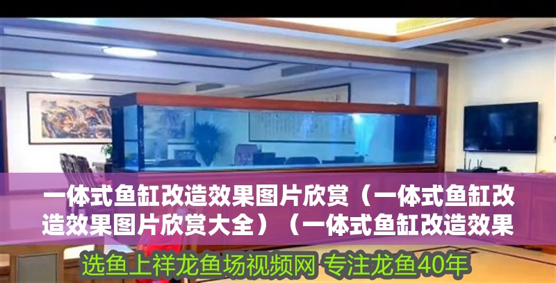 一體式魚缸改造效果圖片欣賞（一體式魚缸改造效果圖片欣賞大全）（一體式魚缸改造效果圖片欣賞）