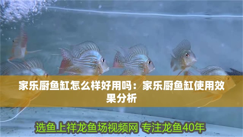 家樂廚魚缸怎么樣好用嗎：家樂廚魚缸使用效果分析