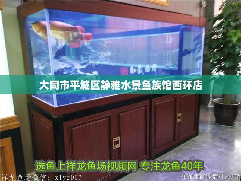 大同市平城區靜雅水景魚族館西環店