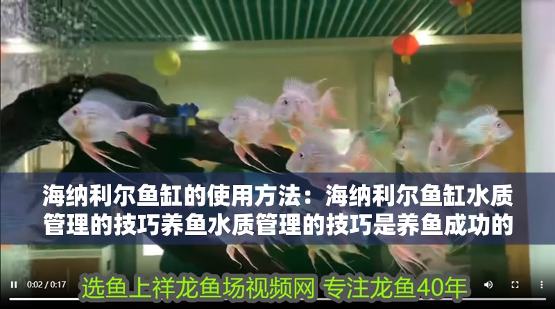 海納利爾魚缸的使用方法：海納利爾魚缸水質(zhì)管理的技巧養(yǎng)魚水質(zhì)管理的技巧是養(yǎng)魚成功的關(guān)鍵