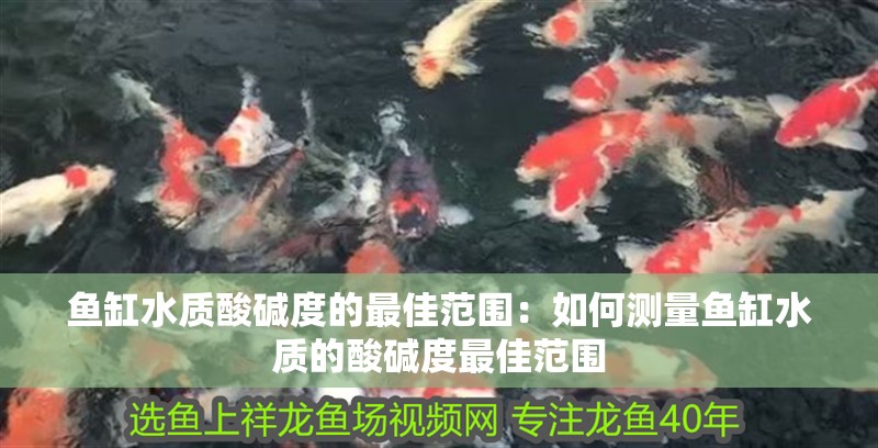 魚缸水質酸堿度的最佳范圍：如何測量魚缸水質的酸堿度最佳范圍