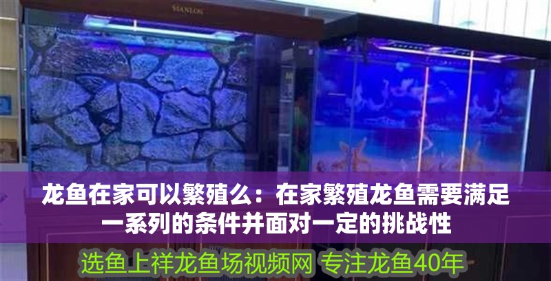 龍魚在家可以繁殖么：在家繁殖龍魚需要滿足一系列的條件并面對一定的挑戰性