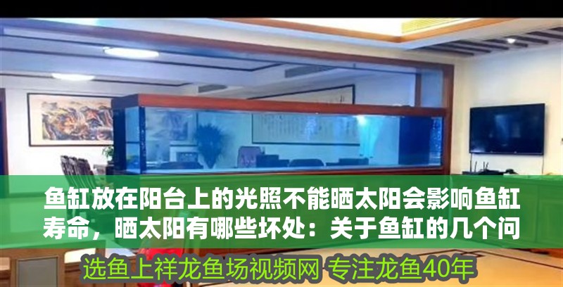 魚缸放在陽臺上的光照不能曬太陽會影響魚缸壽命，曬太陽有哪些壞處：關(guān)于魚缸的幾個問題