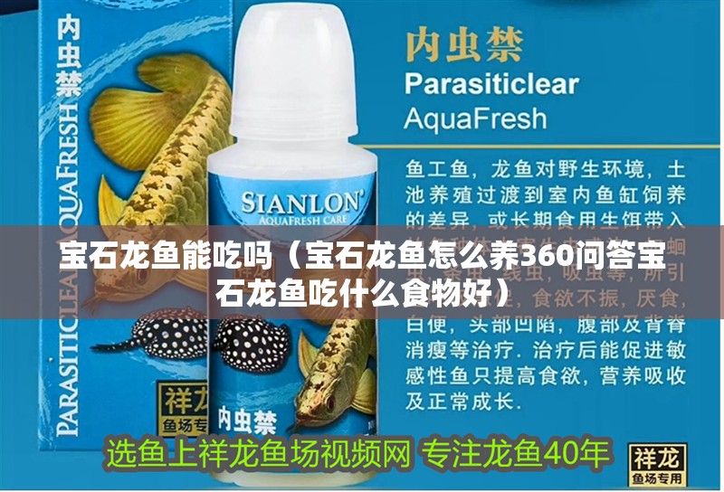 寶石龍魚能吃嗎（寶石龍魚怎么養360問答寶石龍魚吃什么食物好）
