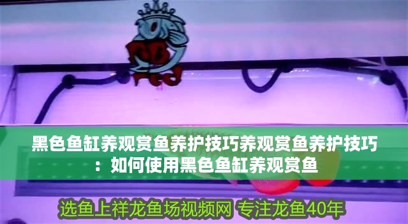 黑色魚缸養觀賞魚養護技巧養觀賞魚養護技巧：如何使用黑色魚缸養觀賞魚