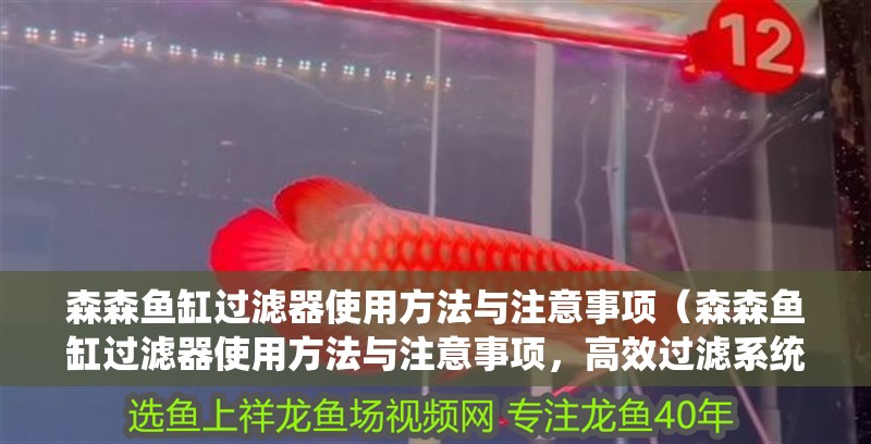 魚缸過濾器選購指南:自制魚缸過濾器魚缸上置過濾器對于養(yǎng)魚愛好者的必備知識 森森魚缸過濾器使用方法與注意事項(森森魚缸過濾器使用方法與注意事項,高效過濾系統(tǒng)確保水質(zhì)純凈) 魚缸百科 森森魚缸過濾器使用方法與注意事項(森森魚缸過濾器使用方法與注意事項,高效過濾系統(tǒng)確保水質(zhì)純凈) 森森魚缸過濾器使用方法與注意事項(森森魚缸過濾器使用方法與注意事項,高效過濾系統(tǒng)確保水質(zhì)純凈) 魚缸百科