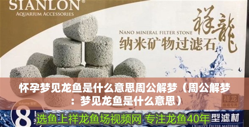懷孕夢見龍魚是什么意思周公解夢(周公解夢:夢見龍魚是什么意思)