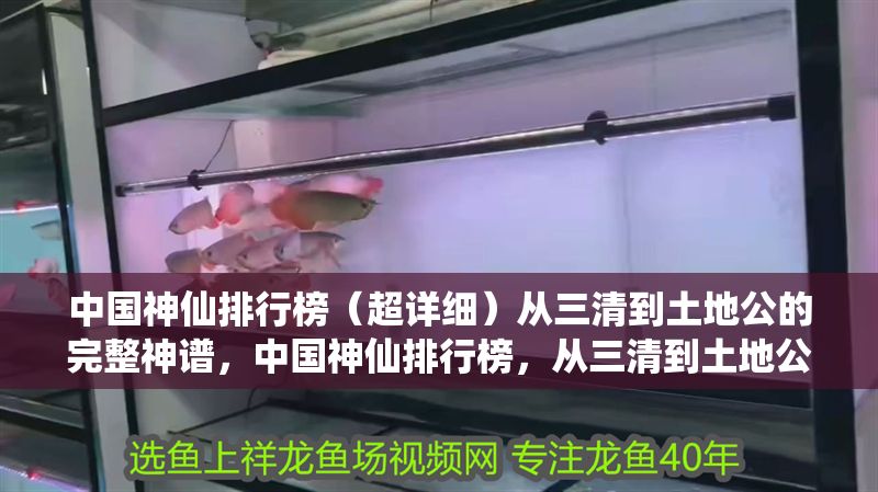 中國神仙排行榜(超詳細)從三清到土地公的完整神譜,中國神仙排行榜,從三清到土地公的完整神譜詳解 龍魚百科 第1張 中國神仙排行榜(超詳細)從三清到土地公的完整神譜,中國神仙排行榜,從三清到土地公的完整神譜詳解 中國神仙排行榜(超詳細)從三清到土地公的完整神譜,中國神仙排行榜,從三清到土地公的完整神譜詳解 龍魚百科 第1張