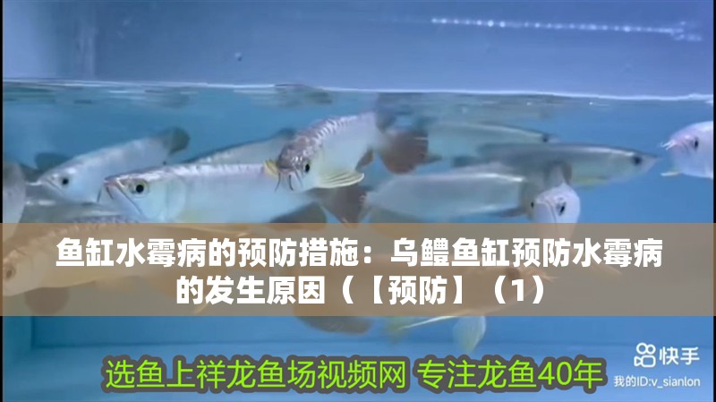 魚缸過濾器選購指南:自制魚缸過濾器魚缸上置過濾器對(duì)于養(yǎng)魚愛好者的必備知識(shí) 魚缸水霉病的預(yù)防措施:烏鱧魚缸預(yù)防水霉病的發(fā)生原因(【預(yù)防】(1) 魚缸百科 魚缸水霉病的預(yù)防措施:烏鱧魚缸預(yù)防水霉病的發(fā)生原因(【預(yù)防】(1) 魚缸水霉病的預(yù)防措施:烏鱧魚缸預(yù)防水霉病的發(fā)生原因(【預(yù)防】(1) 魚缸百科