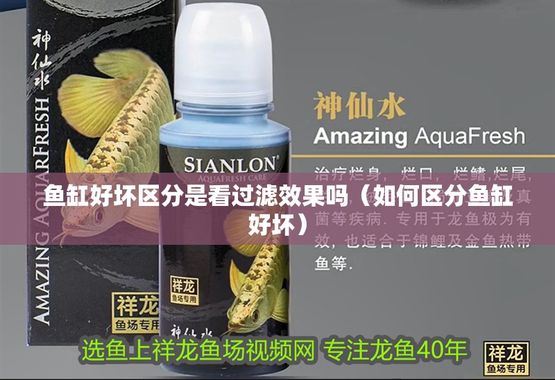 魚缸好壞區分是看過濾效果嗎(如何區分魚缸好壞)