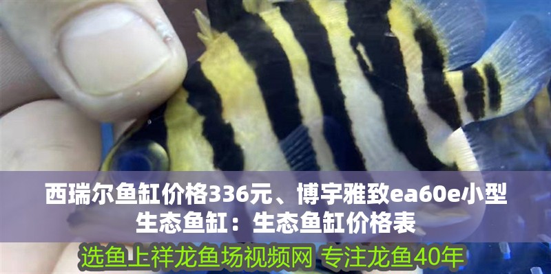 西瑞爾魚缸價格336元、博宇雅致ea60e小型生態魚缸：生態魚缸價格表