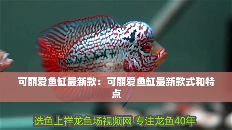 可麗愛魚缸最新款：可麗愛魚缸最新款式和特點
