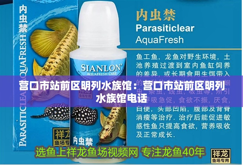 營(yíng)口市站前區(qū)明列水族館：營(yíng)口市站前區(qū)明列水族館電話