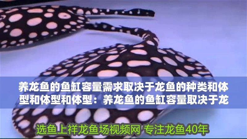 養龍魚的魚缸容量需求取決于龍魚的種類和體型和體型和體型：養龍魚的魚缸容量取決于龍魚的種類和體型