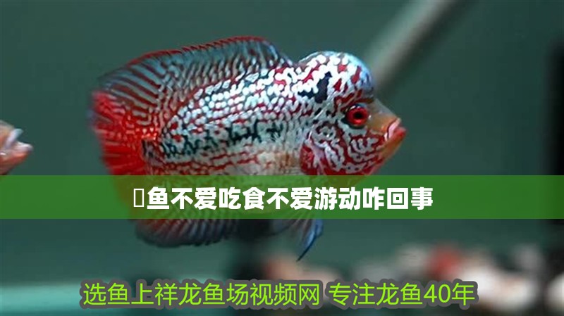魟魚(yú)不愛(ài)吃食不愛(ài)游動(dòng)咋回事
