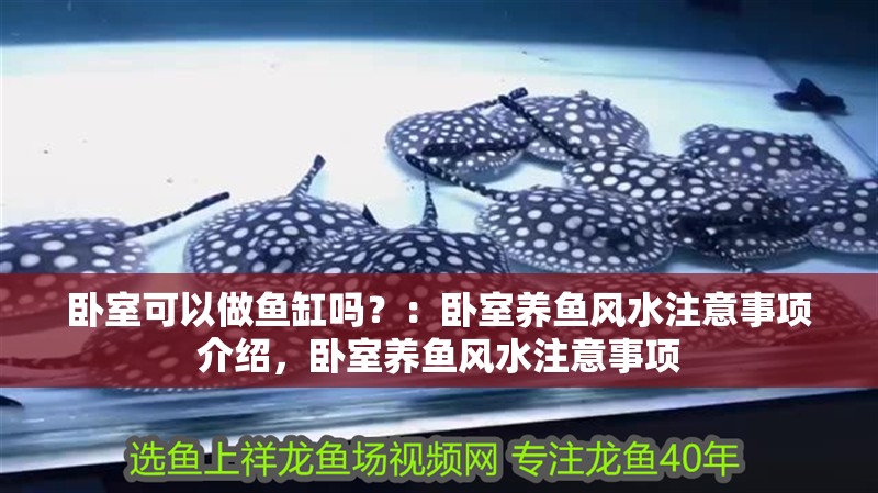 臥室可以做魚缸嗎？：臥室養魚風水注意事項介紹，臥室養魚風水注意事項