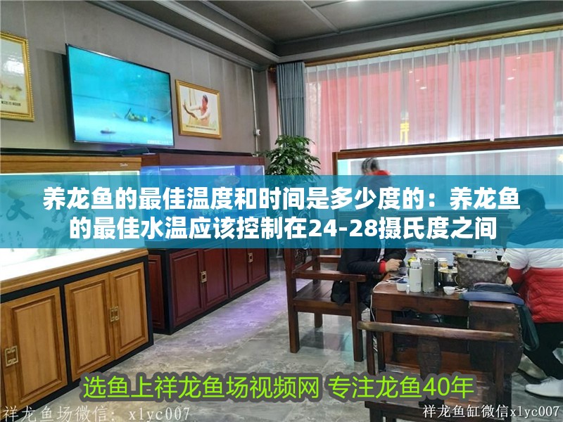 養(yǎng)龍魚的最佳溫度和時(shí)間是多少度的：養(yǎng)龍魚的最佳水溫應(yīng)該控制在24-28攝氏度之間