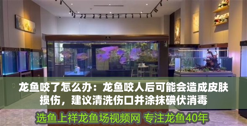 龍魚咬了怎么辦：龍魚咬人后可能會造成皮膚損傷，建議清洗傷口并涂抹碘伏消毒