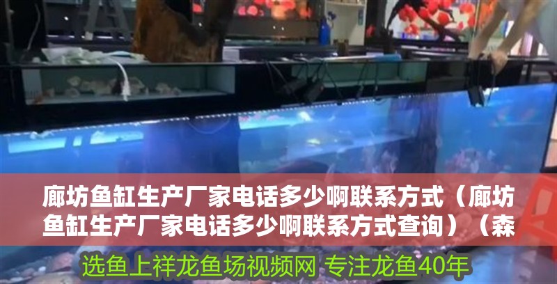 廊坊魚缸生產廠家電話多少啊聯系方式（廊坊魚缸生產廠家電話多少啊聯系方式查詢）（森森十大名牌魚缸品牌） 廊坊魚缸生產廠家電話多少啊聯系方式（廊坊魚缸生產廠家電話多少啊聯系方式查詢）（森森十大名牌魚缸品牌） 魚缸百科