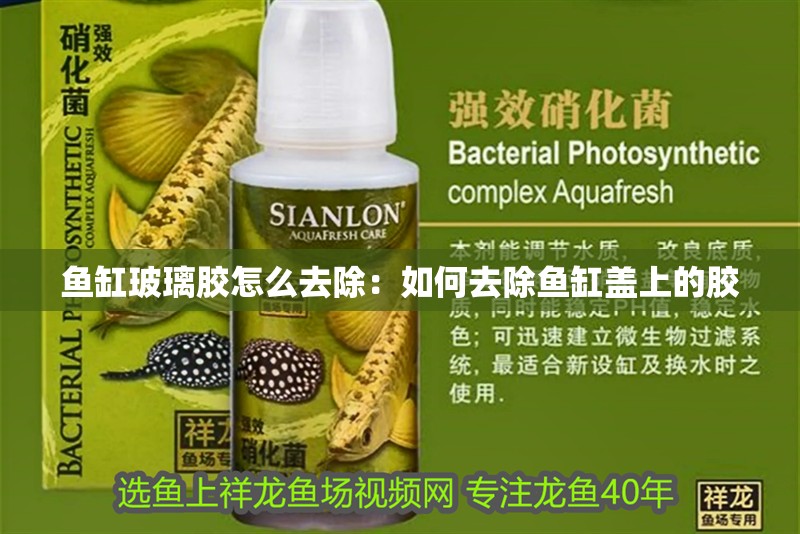 魚缸玻璃膠怎么去除：如何去除魚缸蓋上的膠 魚缸玻璃膠怎么去除：如何去除魚缸蓋上的膠 魚缸百科