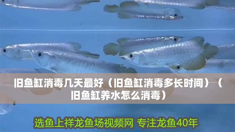 舊魚缸消毒幾天最好（舊魚缸消毒多長時間）（舊魚缸養水怎么消毒）