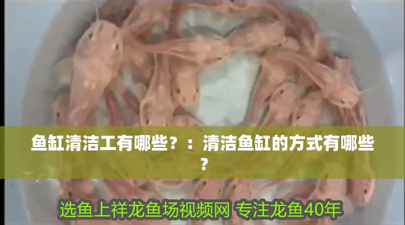 魚缸清潔工有哪些？：清潔魚缸的方式有哪些？