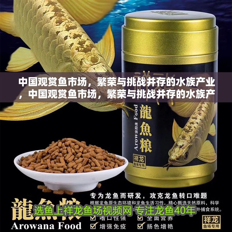中國(guó)觀賞魚市場(chǎng)，繁榮與挑戰(zhàn)并存的水族產(chǎn)業(yè)，中國(guó)觀賞魚市場(chǎng)，繁榮與挑戰(zhàn)并存的水族產(chǎn)業(yè)