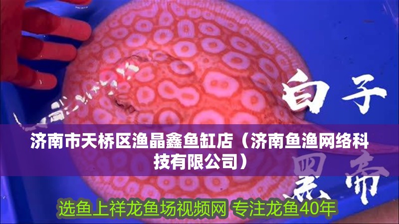濟南市天橋區漁晶鑫魚缸店（濟南魚漁網絡科技有限公司）